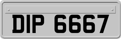DIP6667
