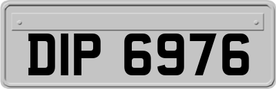 DIP6976