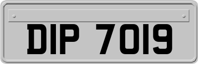 DIP7019
