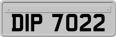 DIP7022