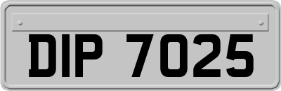 DIP7025