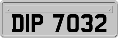 DIP7032