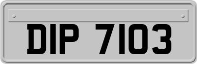 DIP7103