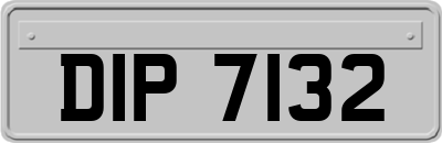 DIP7132