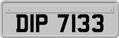 DIP7133