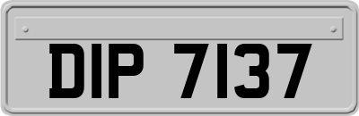 DIP7137