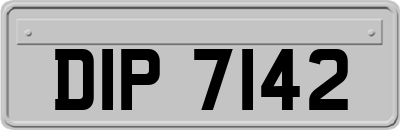 DIP7142