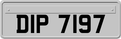DIP7197