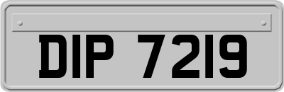 DIP7219