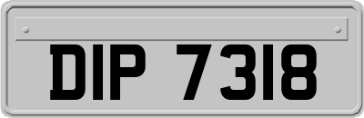 DIP7318