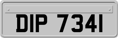 DIP7341