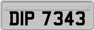 DIP7343