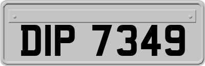 DIP7349