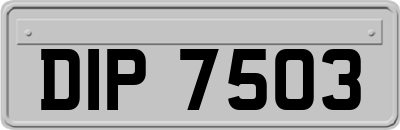 DIP7503
