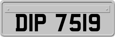 DIP7519