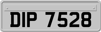 DIP7528