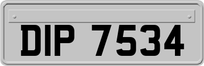 DIP7534
