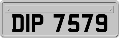 DIP7579