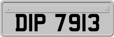 DIP7913