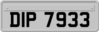 DIP7933