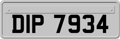 DIP7934
