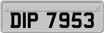 DIP7953