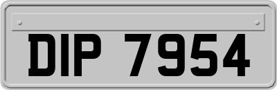 DIP7954