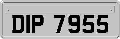 DIP7955