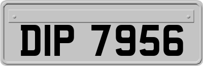 DIP7956
