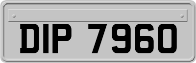 DIP7960
