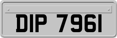 DIP7961