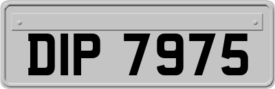 DIP7975