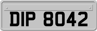 DIP8042