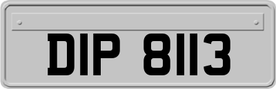 DIP8113