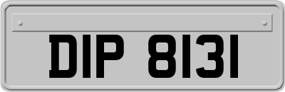 DIP8131
