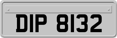 DIP8132