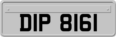 DIP8161