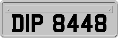 DIP8448