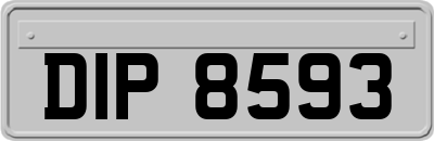 DIP8593