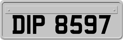 DIP8597