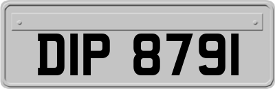 DIP8791