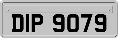 DIP9079