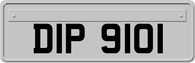 DIP9101