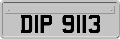 DIP9113