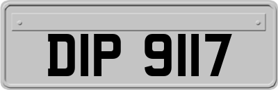 DIP9117