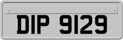 DIP9129