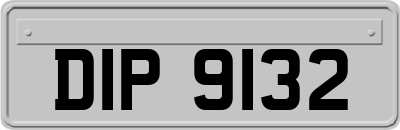 DIP9132