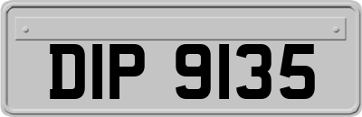 DIP9135