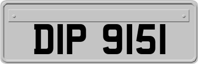 DIP9151