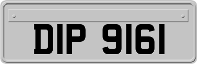 DIP9161